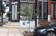 New small tree, 2317 Parrish Street